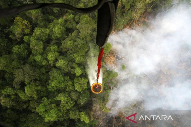 
					Jepang Kerahkan Kapal dan Helikopter Bantu Indonesia Tangani Karhutla Kalimantan