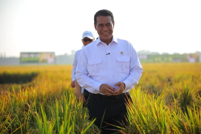 
					Mentan: Produksi dan Surplus Beras Nasional Terjaga, Siap Hadapi El Nino