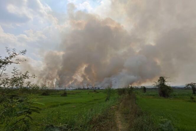
					(Pandawa Borniat/kompas.com)