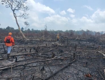 (KOMPAS.COM/DOK BNPB KABUPATEN LINGGA)