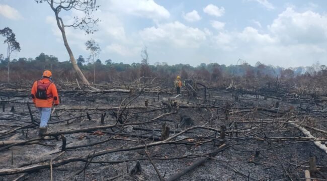 (KOMPAS.COM/DOK BNPB KABUPATEN LINGGA)