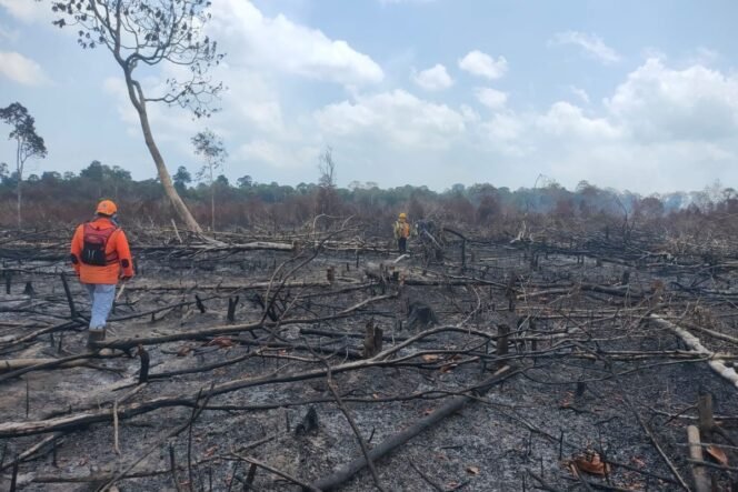 
					(KOMPAS.COM/DOK BNPB KABUPATEN LINGGA)