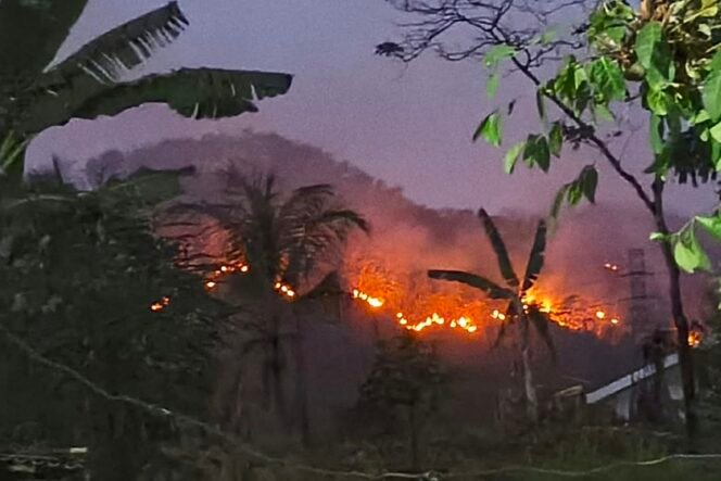 
					(KOMPAS.com/Dok Damkar Kabupaten Semarang)