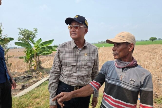 
					(KOMPAS.COM/HILDA B ALEXANDER)