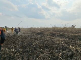 (Pandawa Borniat/kompas.com)
