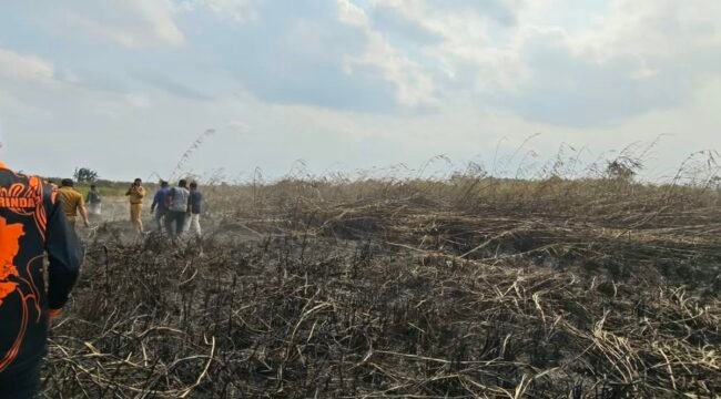 (Pandawa Borniat/kompas.com)