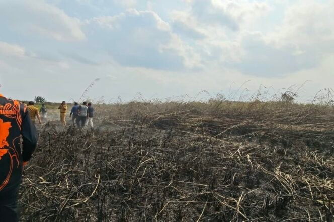 
					(Pandawa Borniat/kompas.com)