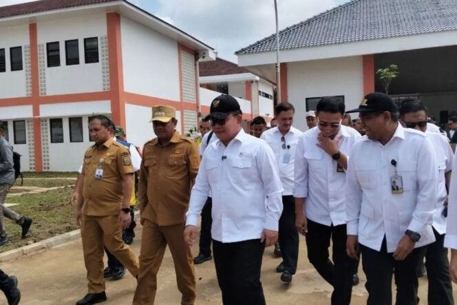 
					(Anggi Lutfhi Panggabean)