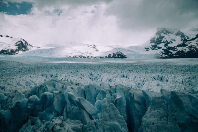 
					(Unsplash/Martin Sanchez)