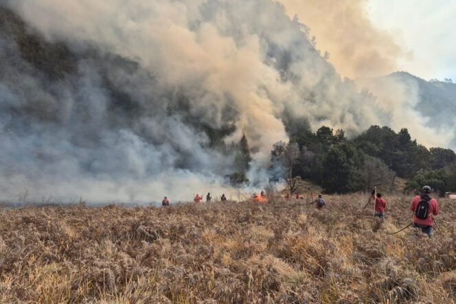 
					(Dokumentasi TNBTS)