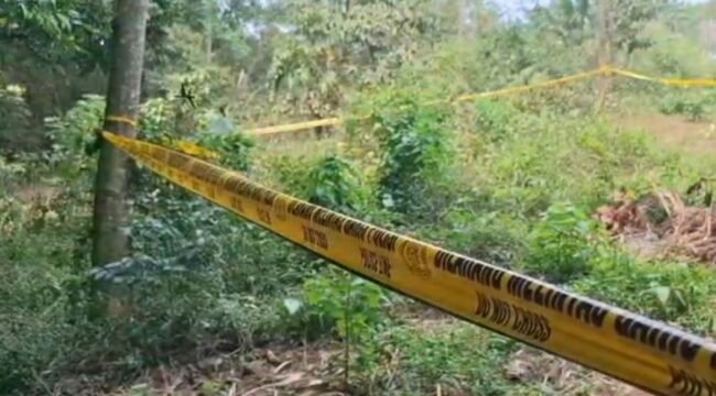 (KOMPAS.com/Dian Ade Permana)