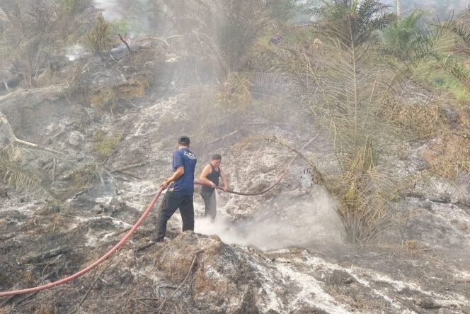 
					(Rahmat Panji (Kompas.com))