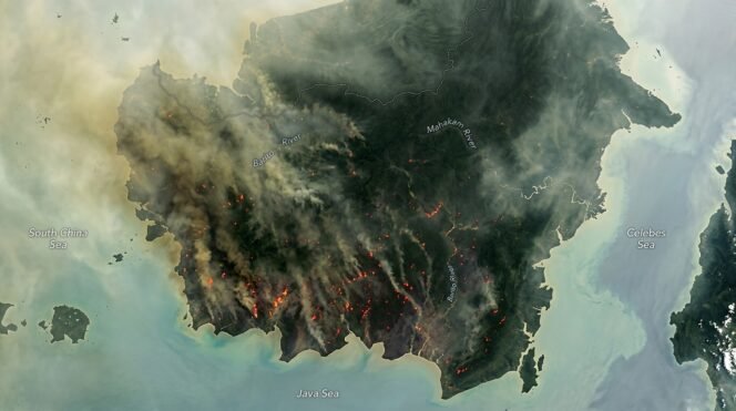 
					NASA Pantau Kabut Asap Pekat Selimuti Kalimantan Akibat Kebakaran Hutan