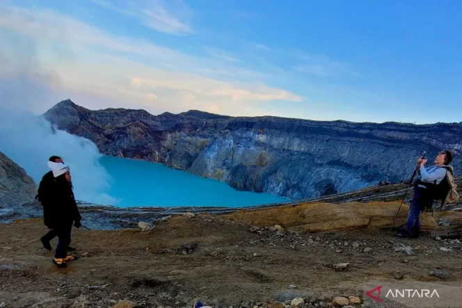 
					ANTARA/Novi Husdinariyanto (Banyuwangi)