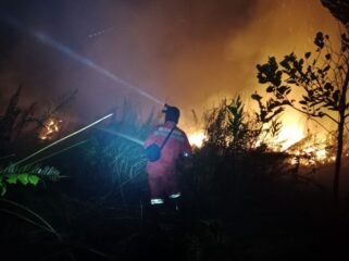 (Kemenhut RI)