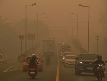 (ANTARA FOTO/Auliya Rahman)