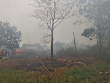 (Pandawa Borniat/kompas.com)