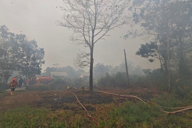 
					(Pandawa Borniat/kompas.com)