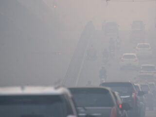 (ANTARA FOTO/Nova Wahyudi)