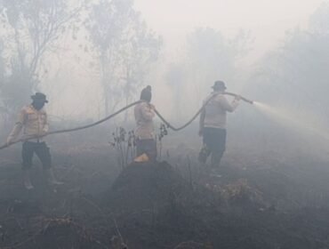 (KOMPAS.COM/IDON)