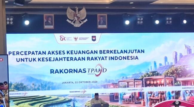 (KOMPAS.com/DEBRINATA RIZKY )