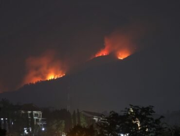 (KOMPAS.COM/MOH. NUR SYAHRI MUHARROM)