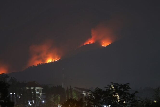 
					(KOMPAS.COM/MOH. NUR SYAHRI MUHARROM)