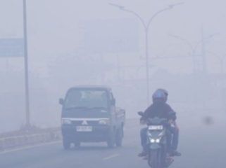 (ANTARA/HO-Medcen Kominfo Banjar)