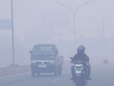 (ANTARA/HO-Medcen Kominfo Banjar)