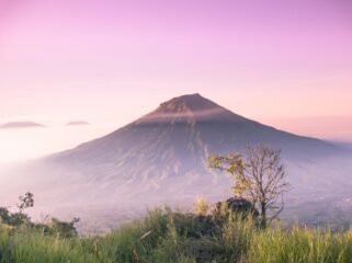 (Unsplash/Hamzah Hanafi)