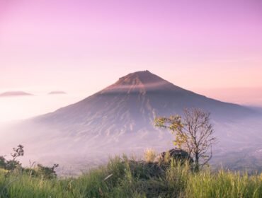 (Unsplash/Hamzah Hanafi)