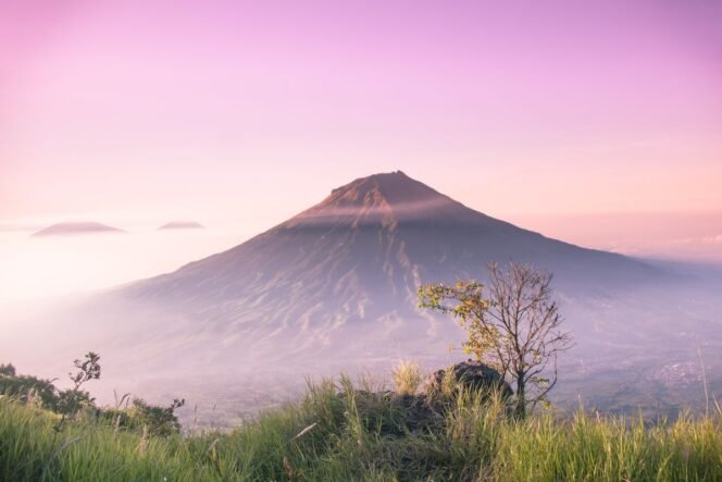 
					(Unsplash/Hamzah Hanafi)