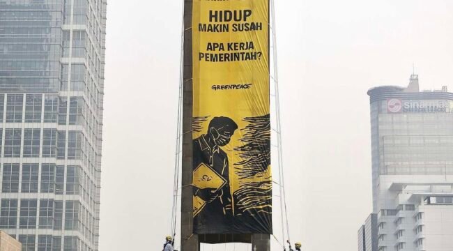 (Dokumentasi: Greenpeace Indonesia)