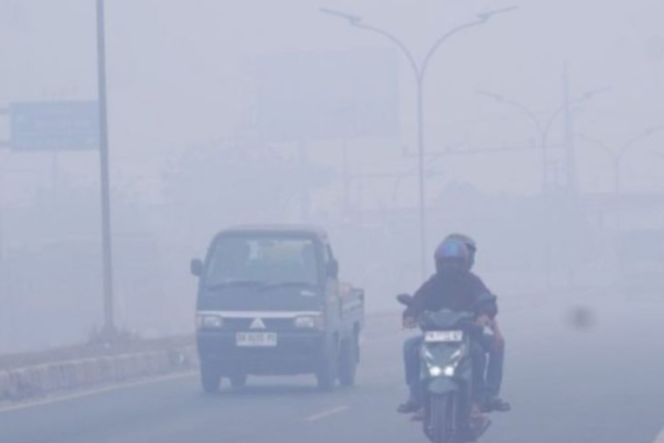
					(ANTARA/HO-Medcen Kominfo Banjar)