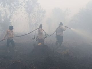 (KOMPAS.COM/IDON)