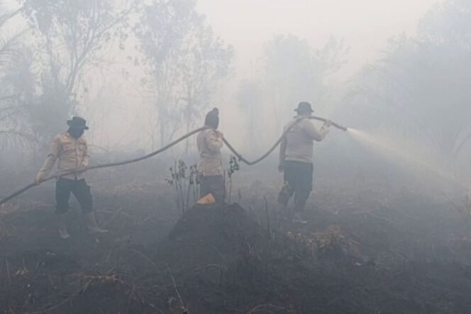 
					(KOMPAS.COM/IDON)