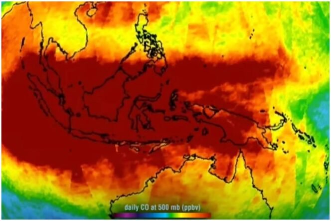 
					(Tangkapan Layar/Kompas.com)