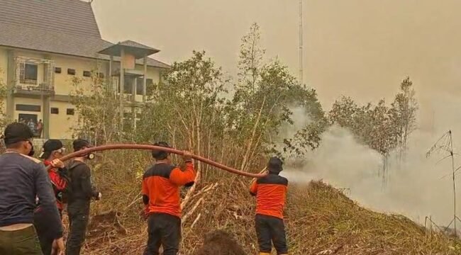 (KOMPAS.COM/AKHMAD DHANI)