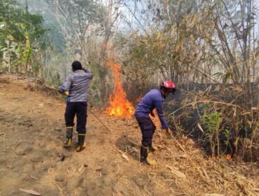 (KOMPAS.com/SLAMET WIDODO)