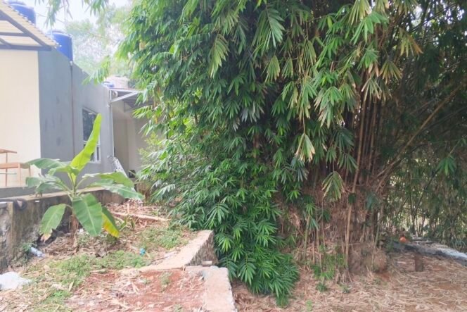 
					(KOMPAS.COM/AFDHALUL IKHSAN)
