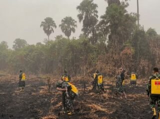 (DOK. BALAI TNWK )