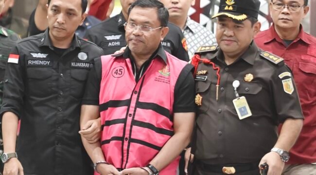 (ANTARA FOTO/M Risyal Hidayat)