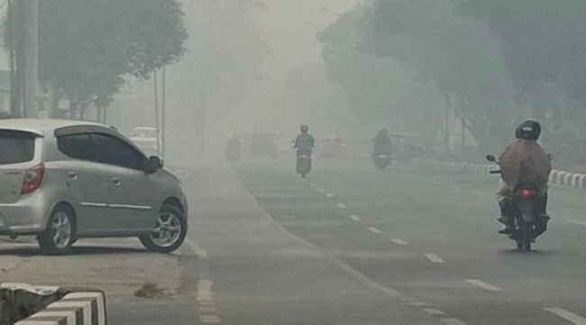 (KOMPAS.COM/AKHMAD DHANI)