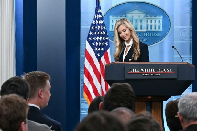 
					(AFP/JIM WATSON)